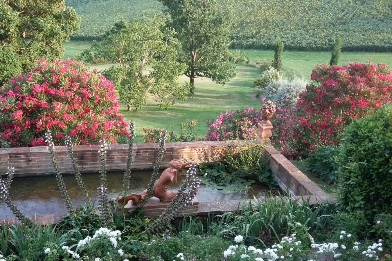 Le bassin et les lauriers-roses